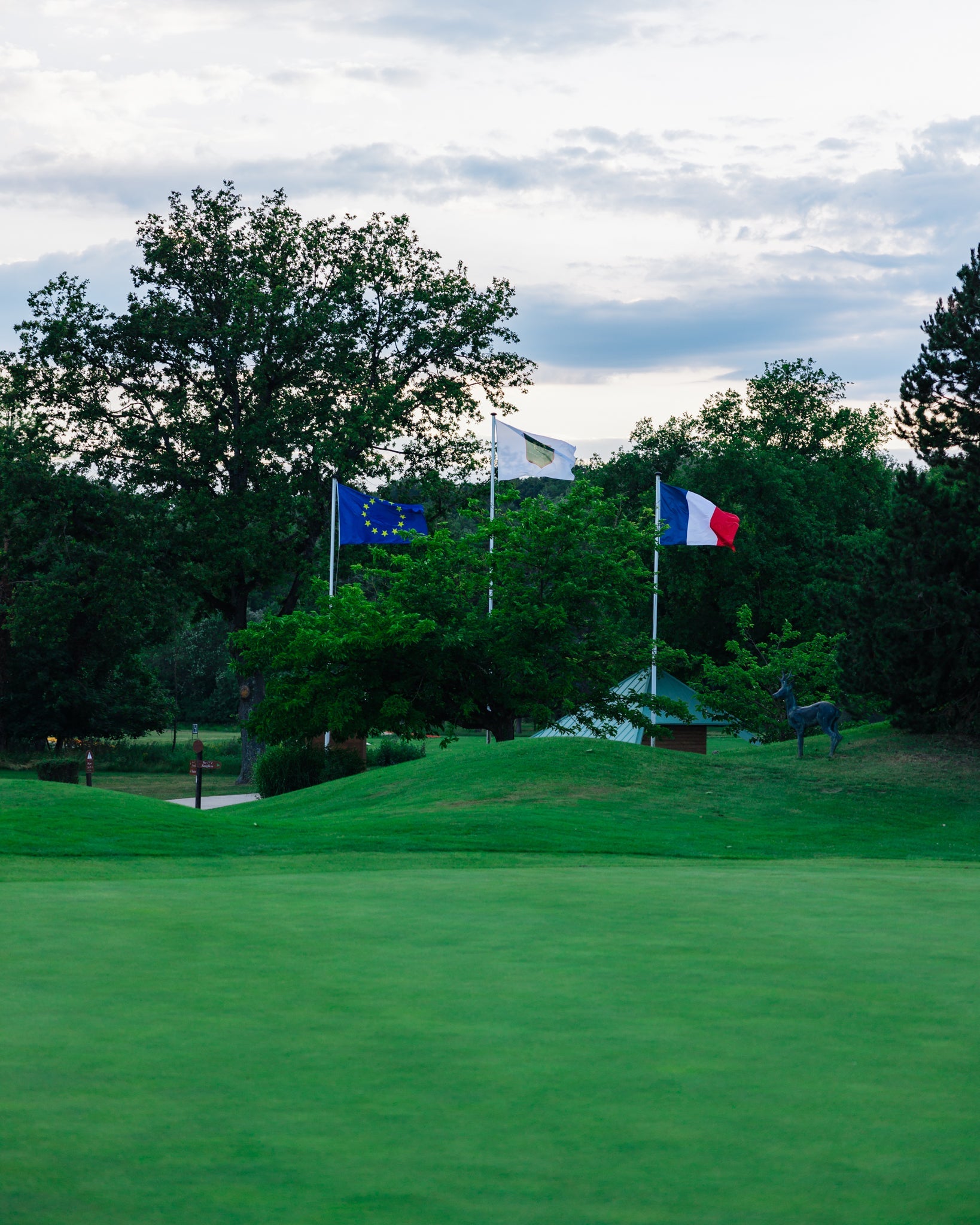 Un ramassage de balles au Golf Club de Lyon : un premier succès à célébrer !
